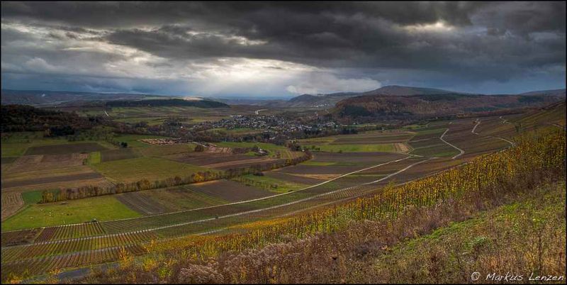 november an der mosel - img_2293_4_5.jpg